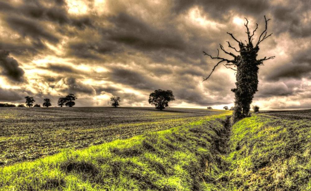 Suffolk farmland at dusk. Photo: Jimmy - S via Flickr (CC BY-NC).
