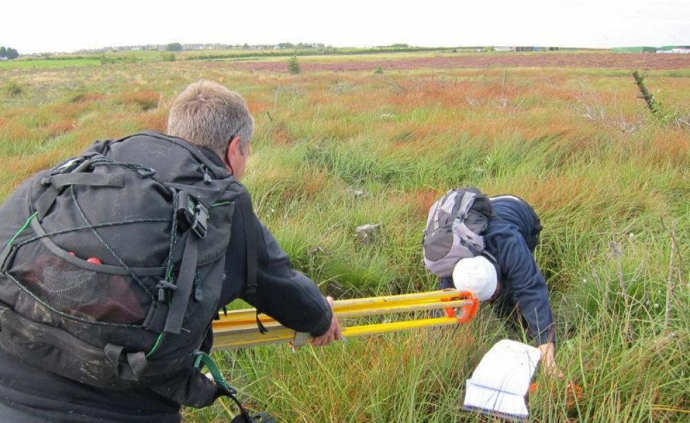 Durham Wildlife Trust volunteers surveying invertebrate populations at Stanley Moss, Sunniside, England. Photo: Dougie Nisbet via Flickr (CC BY-NC).