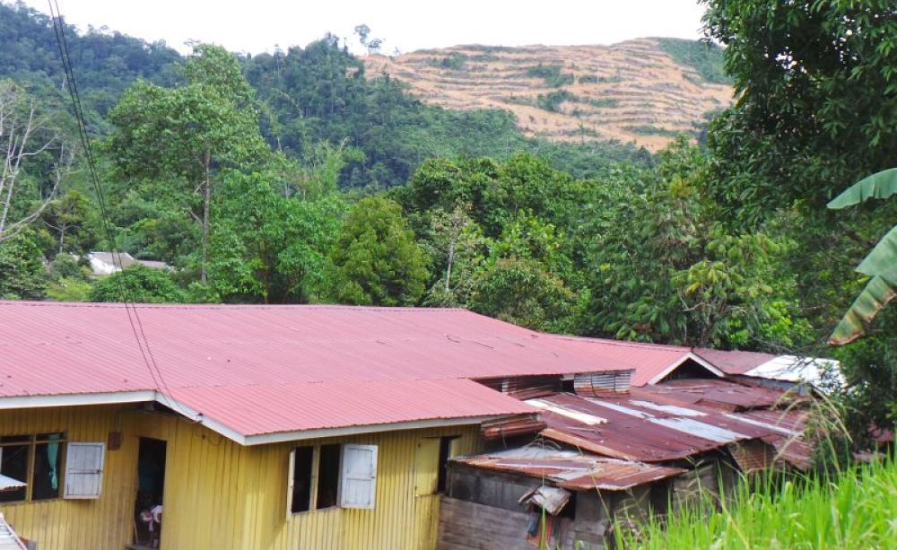 Bigor longhouse with land cleared for oil palm in the background. Photo: Sophie Chao.