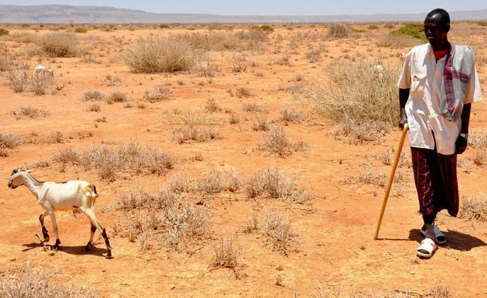 Somalian farmer Aden Jama takes one of his few remaining goats out to look for pasture. "In the past the children had milk from the animals. Now they have nothing. They are still ok for now, but you can see them getting weaker. It is almost six months sin