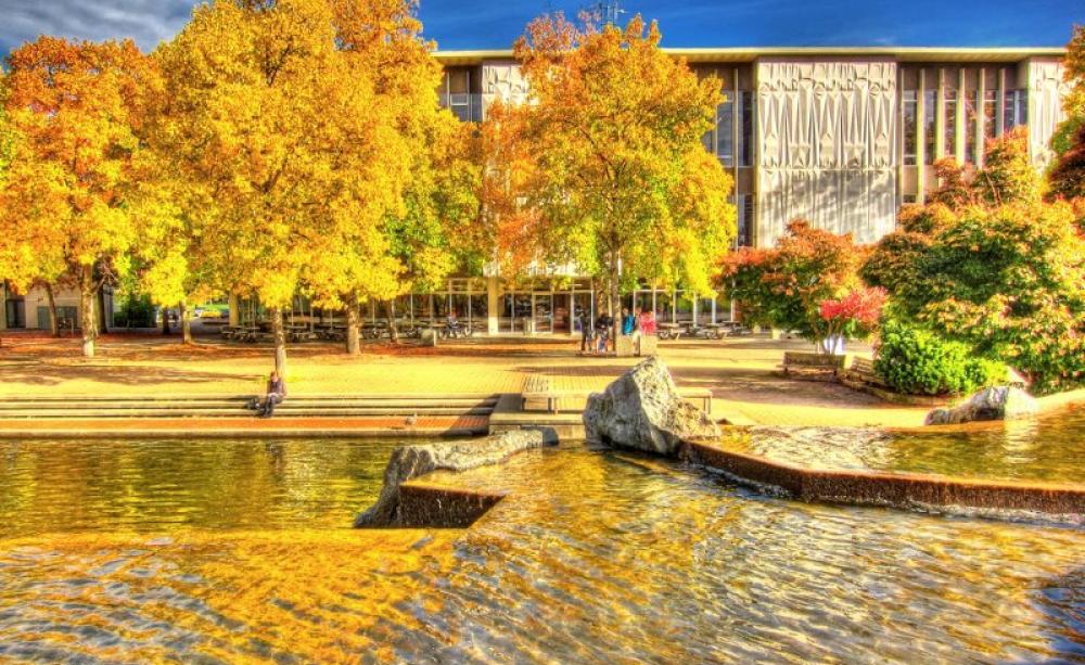 Who says nature is not worth valuing in economic measurements? Sadly, most mainstream economists. Photo: Golden Pond on the University of Victoria campus, BC, Canada, by Nick Kenrick via Flickr (CC BY-NC-SA).