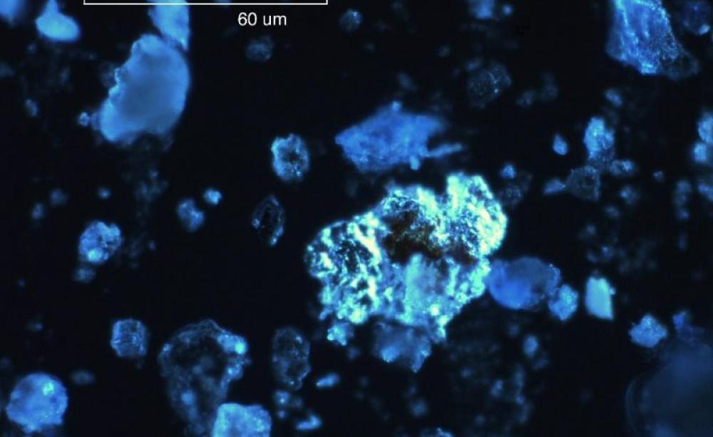 Scanning electron microscope (SEM) photograph of a plutonium-americium 'hot particle', the width of a human hair, found in the Esk estuary mud flats near Sellafield, producing about 150,000 Bq of alpha radiation and 500,000 Bq of beta radiation. Photo: Cu