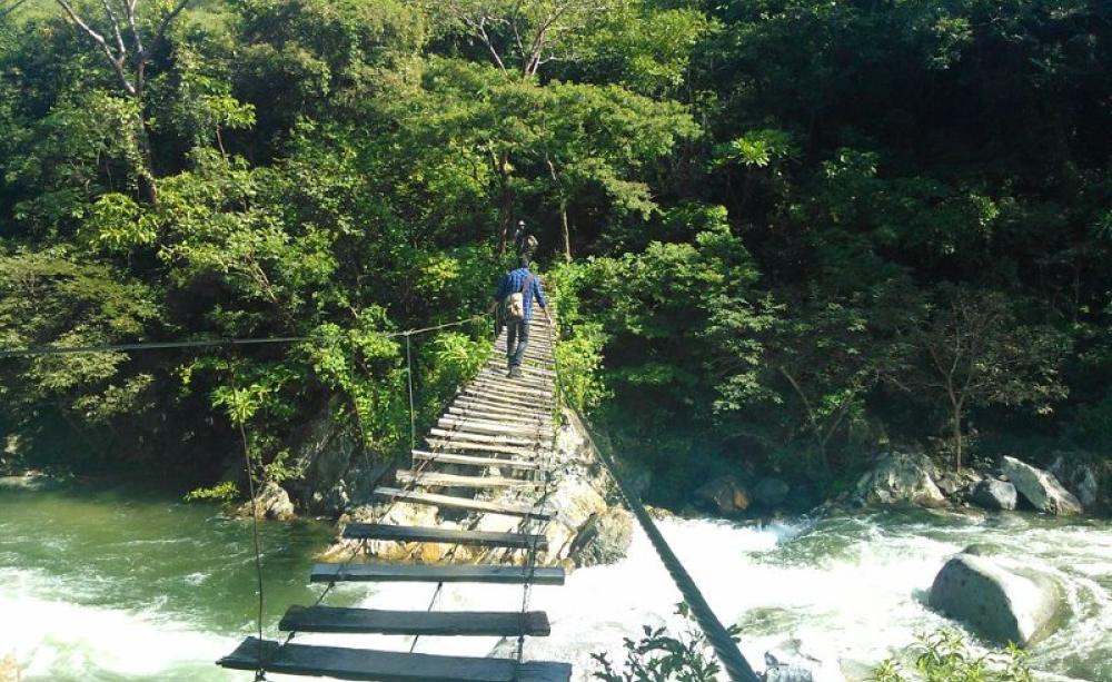 Footbridge over the Coapa River in Chiapas, Mexico, which supports local silvopasture (forestry and livestock grazing). Photo: Lameirasb via Wikimedia Commons (CC BY-SA).