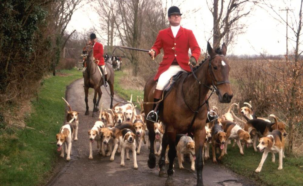 The Essex Foxhounds in 1994. Photo: League Against Cruel Sports.
