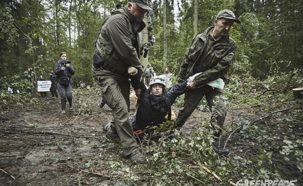 An activist being removed from the protest - 6 Sept 2017. © Grzegorz Broniatowski, via Greenpeace
