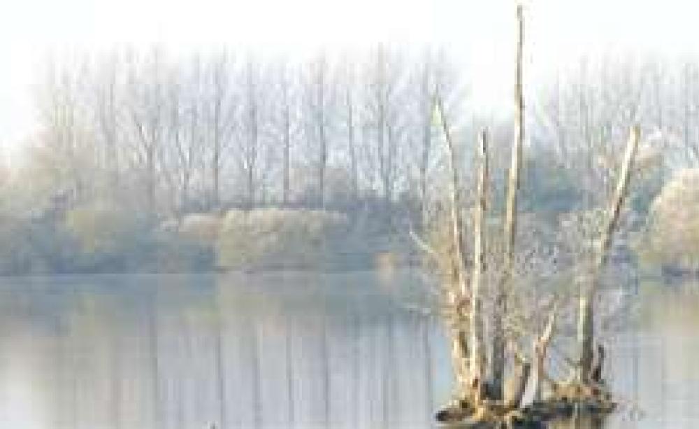 STILLWATERS_NOV06_MAIN.jpg