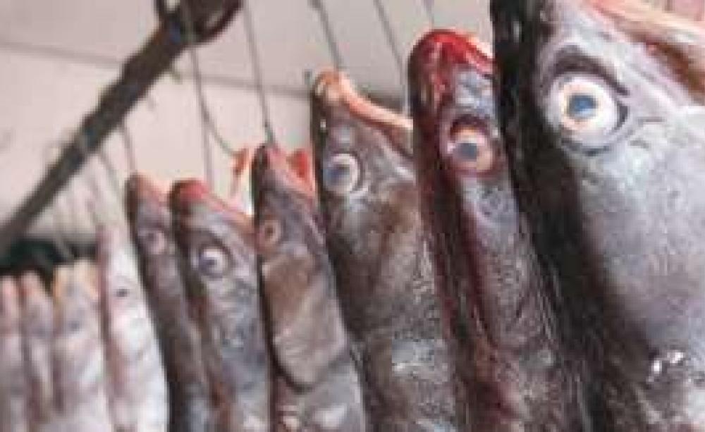 Fishy_Business.jpg