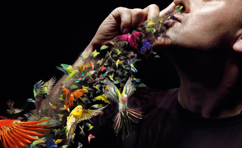 Impact_drugs