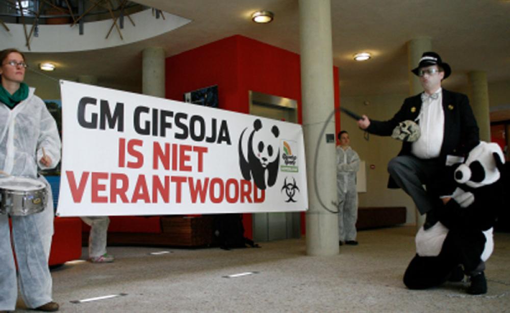 Protesters at WWF's Netherlands office hold a Monsanto 'circus' with a panda