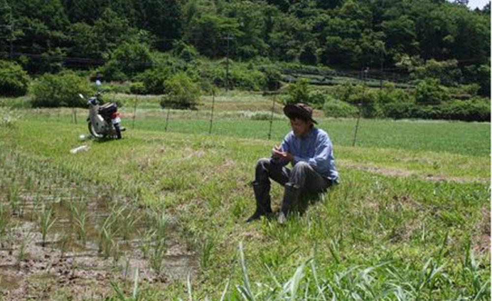 Half Farmer, Half Something Else