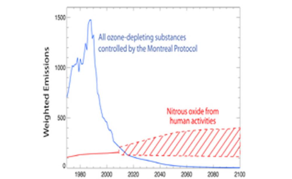 Emissions and their impact on the ozone layer