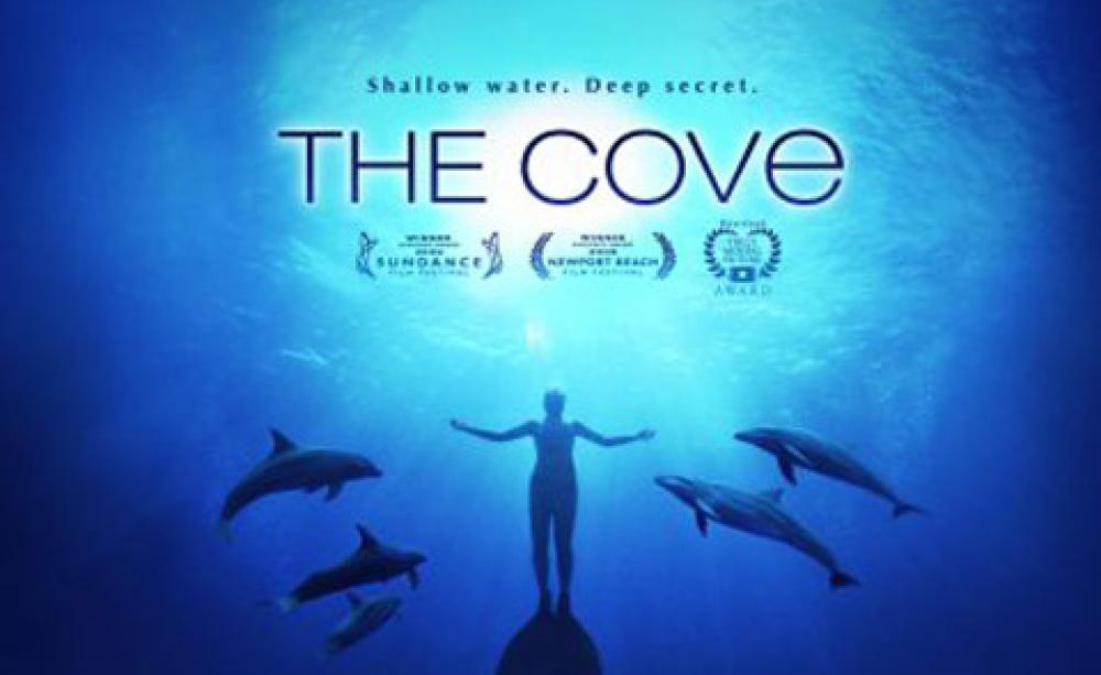 The Cove