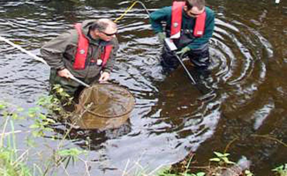 A survey of the River Trent