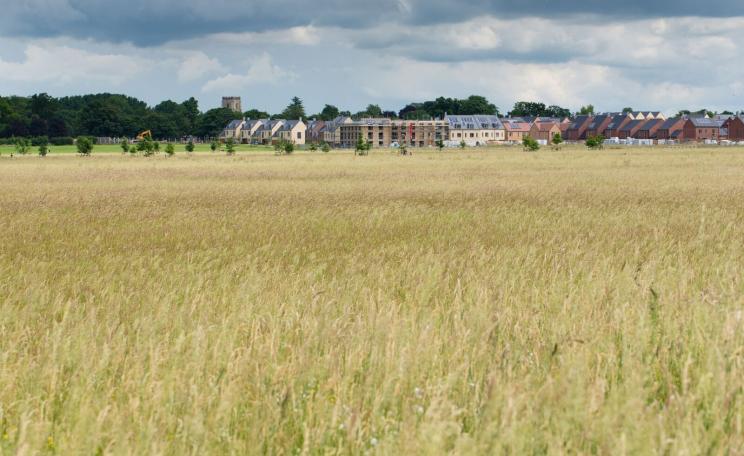 Meadows around housing can benefit wildlife, (c) Sarah Lambert