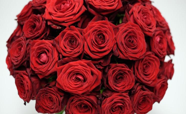 Some roses