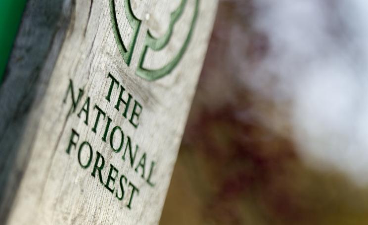 The National Forest