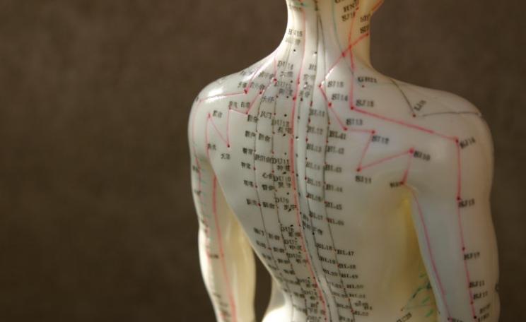 Acupuncture model
