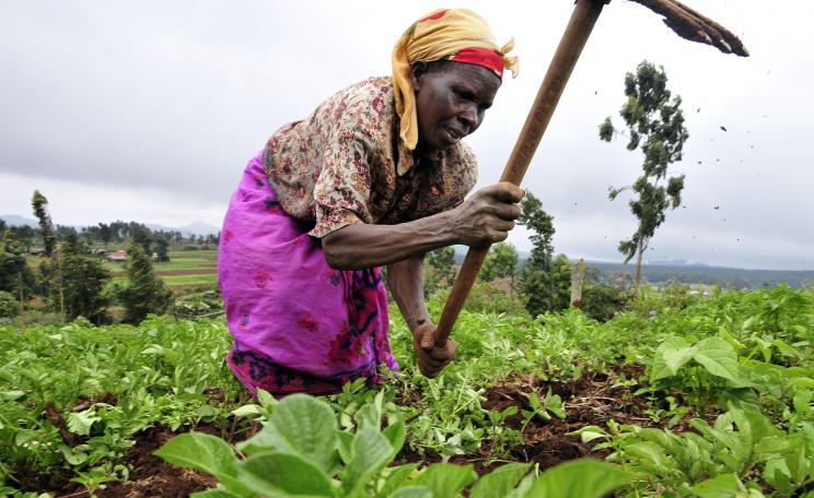 Woman farmer