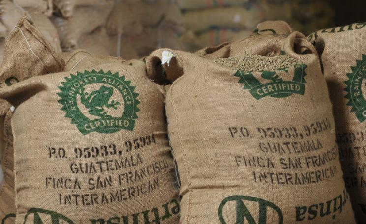 Bags of coffee beans