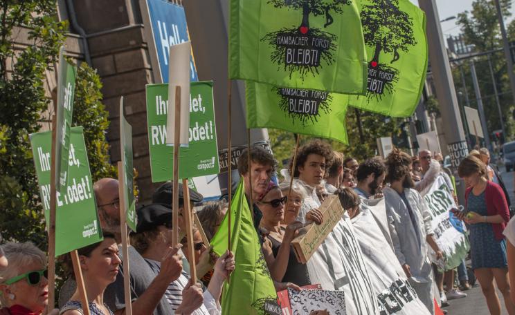 Hambacher forest