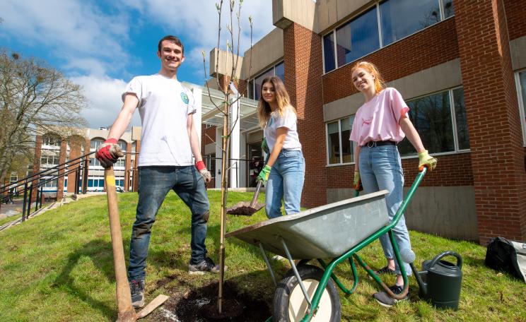 Students planting trees