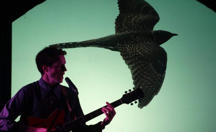 Malcolm Green's 'Gone Cuckoo'