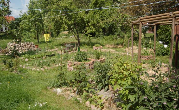 Permaculture garden