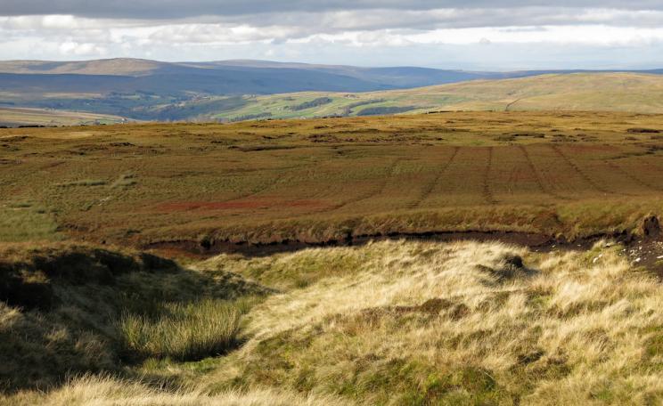Upland peat, Cumbria