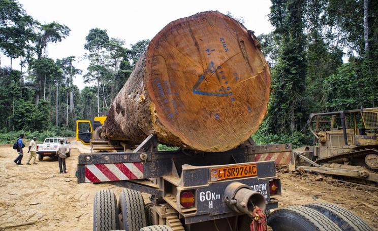 Wood Truck for the Company Fabrique Camerounaise de paquets (FIPCAM) near the village of Ngon. District of Ebolowa, Cameroon.