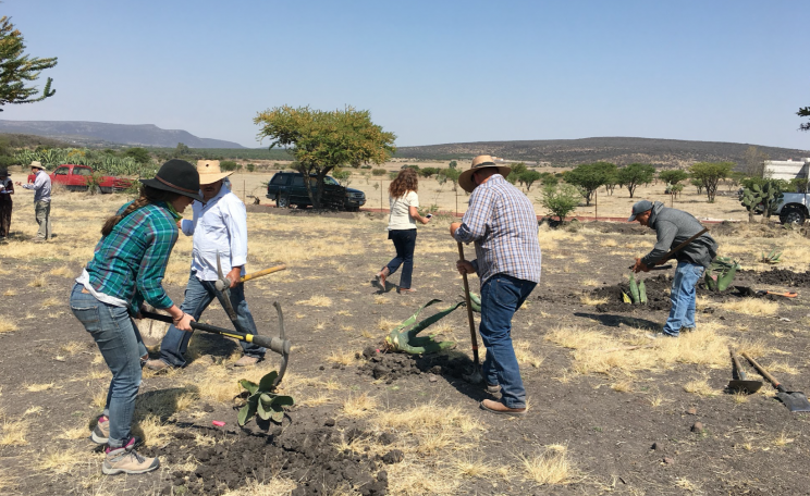 Ecosystem Restoration Camp