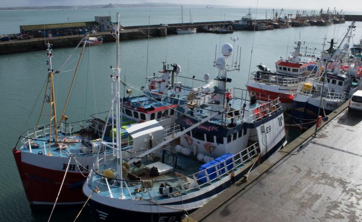 Fishing boats in Newlyn Harbour, Cornwall