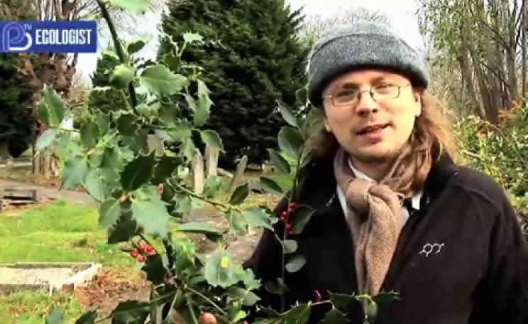 Andy Hamilton holding a sprig of holly