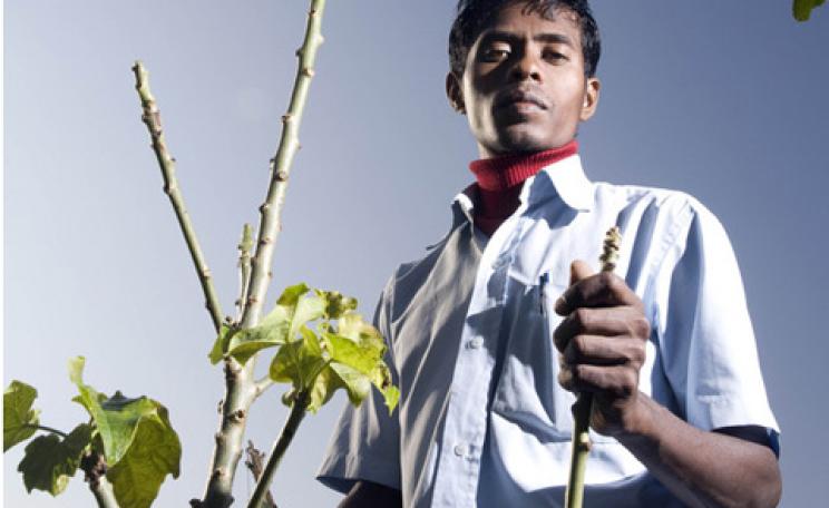 Raju Sona is a smallscale farmer, seen with his only Jatrophal tree at his home farm