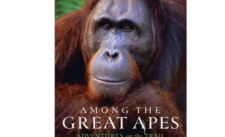 Among the Great Apes