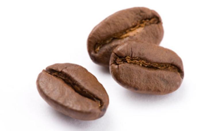 Coffee bean