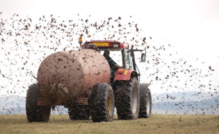 muck spreading