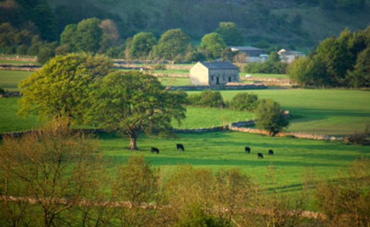 Uplands