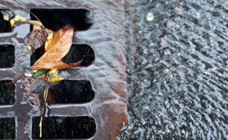 A drain