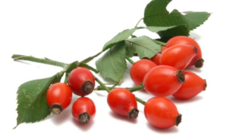 rosehips