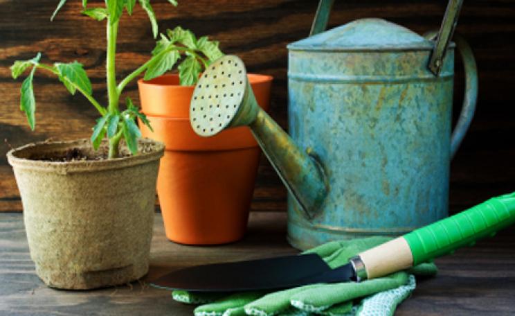 garden accessories