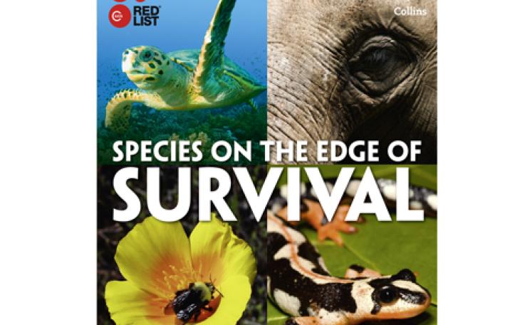 Species on the Edge of Survival