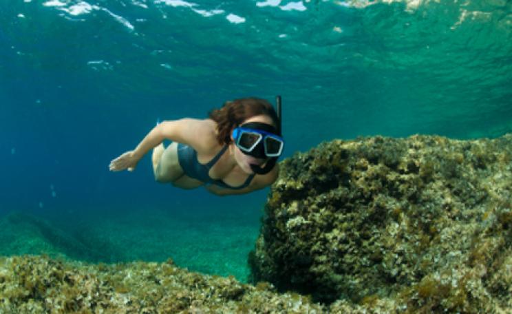 WILD SWIMMING