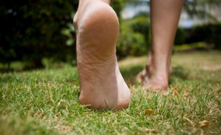 Into the wild: getting to grips with primal fitness