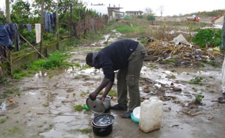 migrant workers orange harvest