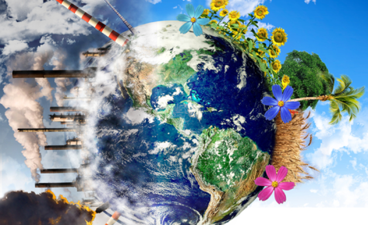 Image courtesy of Shutterstock.com