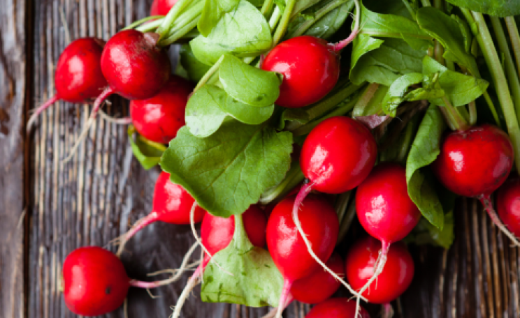 Time for radical changes in our pensions! Photo: Olha Afanasieva / Shutterstock.