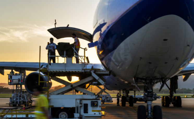 Photo: hxdyl / Shutterstock.com