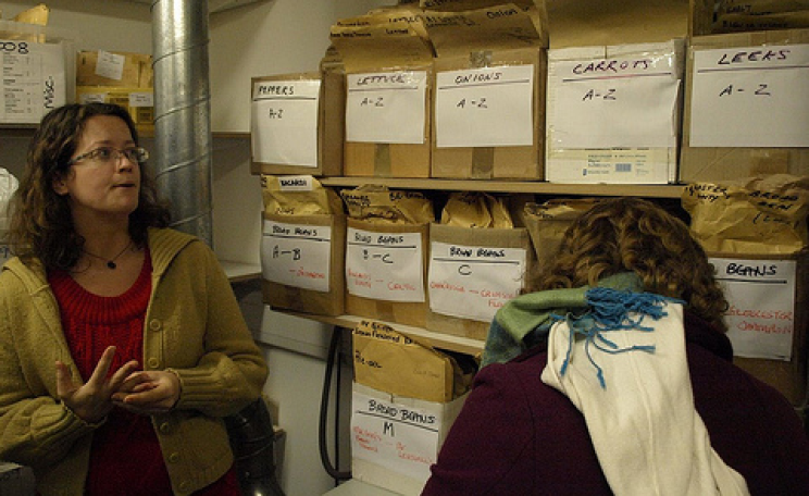 More genetic diversity in this small room than in a million acres of industrial farming - the inner recesses of the Heritage Seed Library. Photo: Cultivate Oxford.