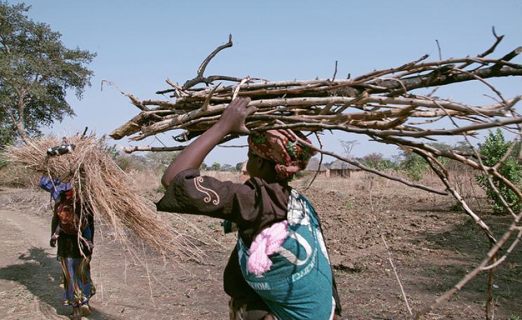 Women in Sudan return to their village after collection firewood. Photo: Margaret W. Nea / Bread for the World via Flickr.com.