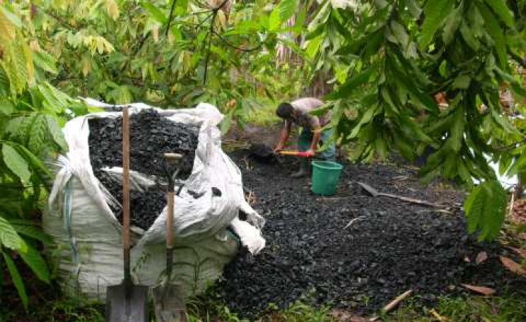 Locally produced biochar. Photo: Carbon Gold.